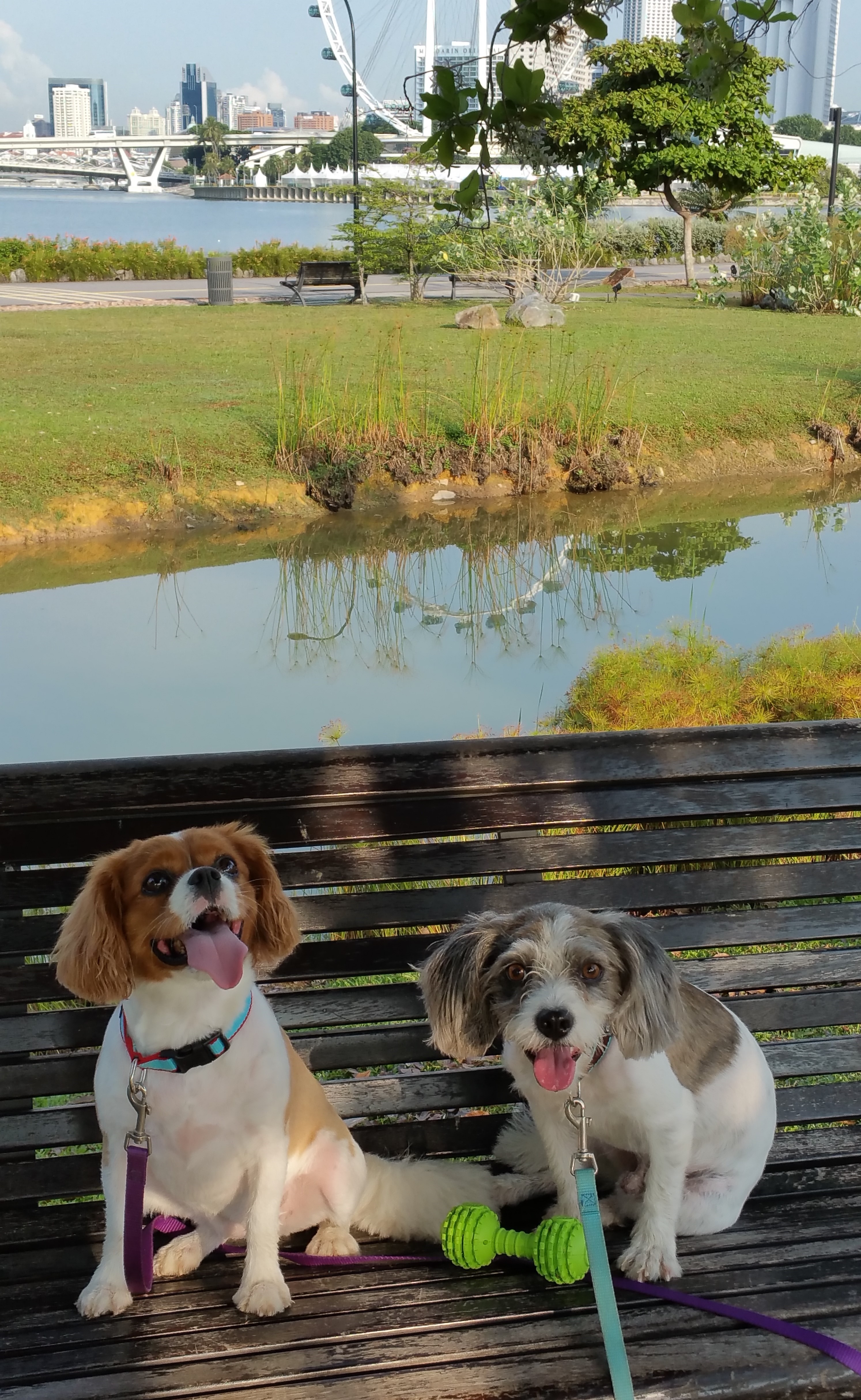 Cora _ Jasper in SG